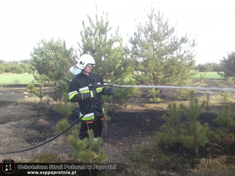 3 Pożary na terenie gminy