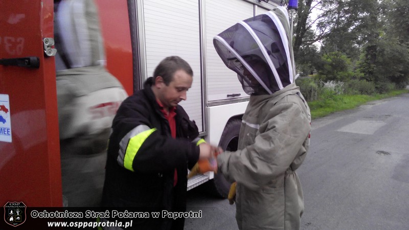 Dwa wyjazdy do gniazda os