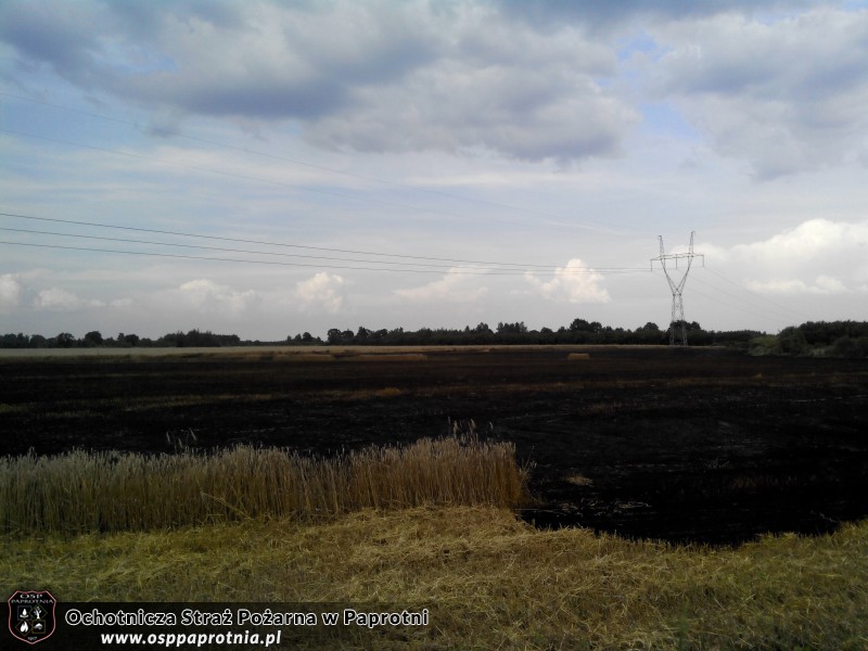 Pożar zboża w Pawłowicach