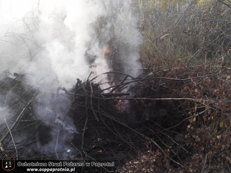Pożar w miejscowości Maszna