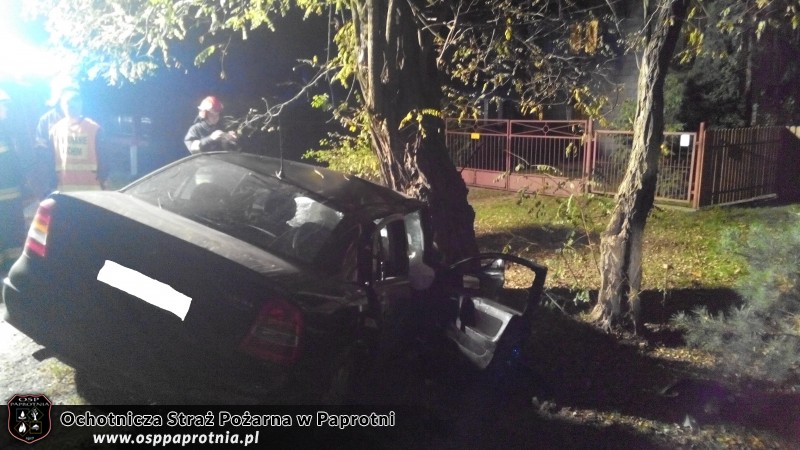 Samochód osobowy uderzył w drzewo w miejscowości Maszna