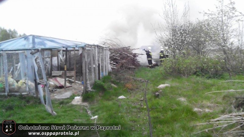  Pożar gałęzi w Paprotni 