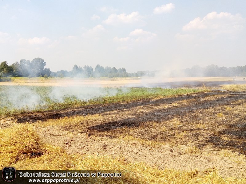  Pożar słomy Gnatowie Nowe