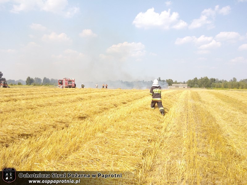  Pożar słomy Gnatowie Nowe