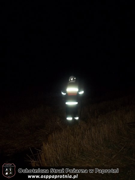 Pożar rżyska Pilawice