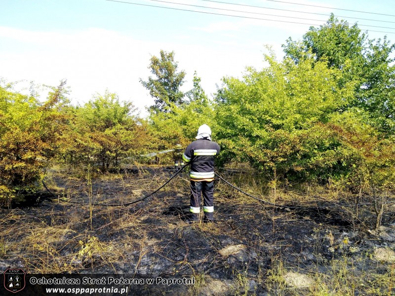  Pożar w Czerwonka Parcela 