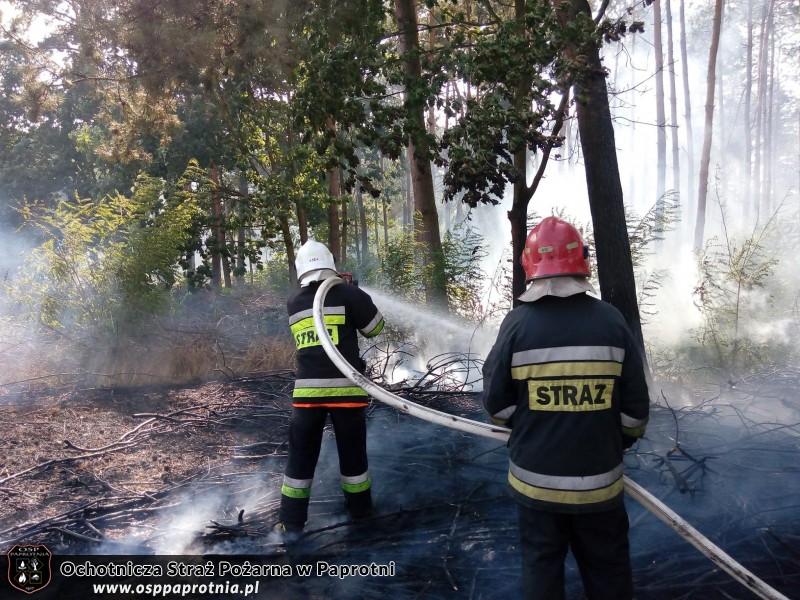 Pożar poszycia leśnego w miejscowości Gawłowie