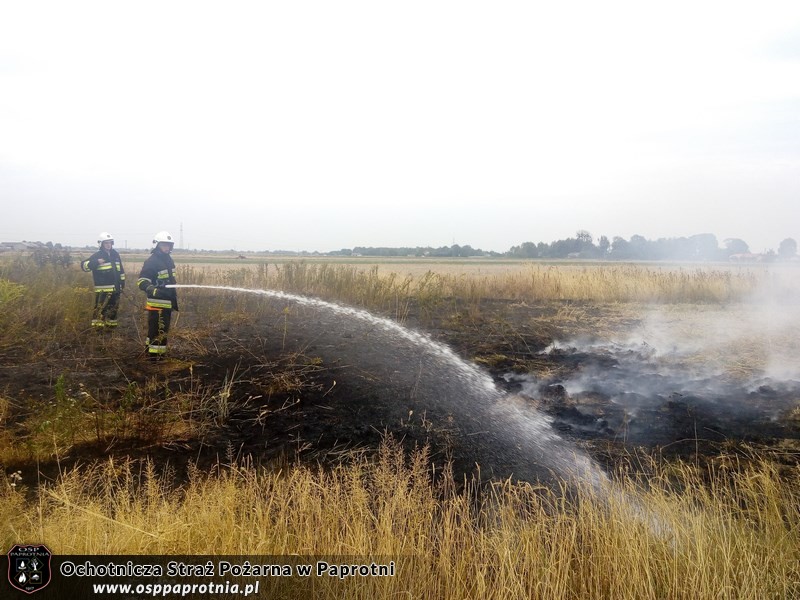 Pożar suchej trawy w Serokach