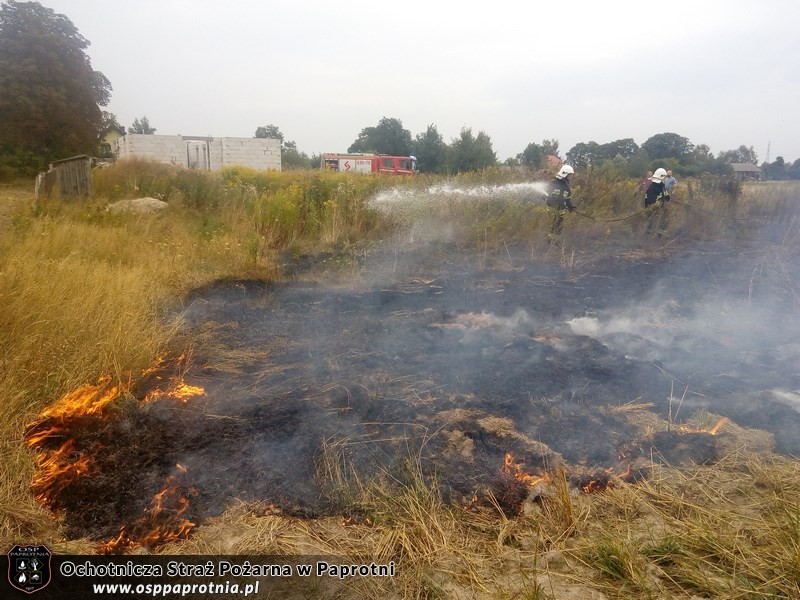 Ćwiczenia Trenażer rozgorzeniowy