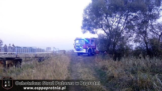 Pożar suchych traw i trzcinowiskw miejscowośći Famułki Brochowskie