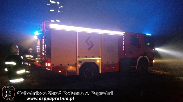 Pożar suchych traw i trzcinowiskw miejscowośći Famułki Brochowskie