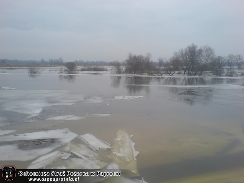 Umocnienie wałów w Kamionie