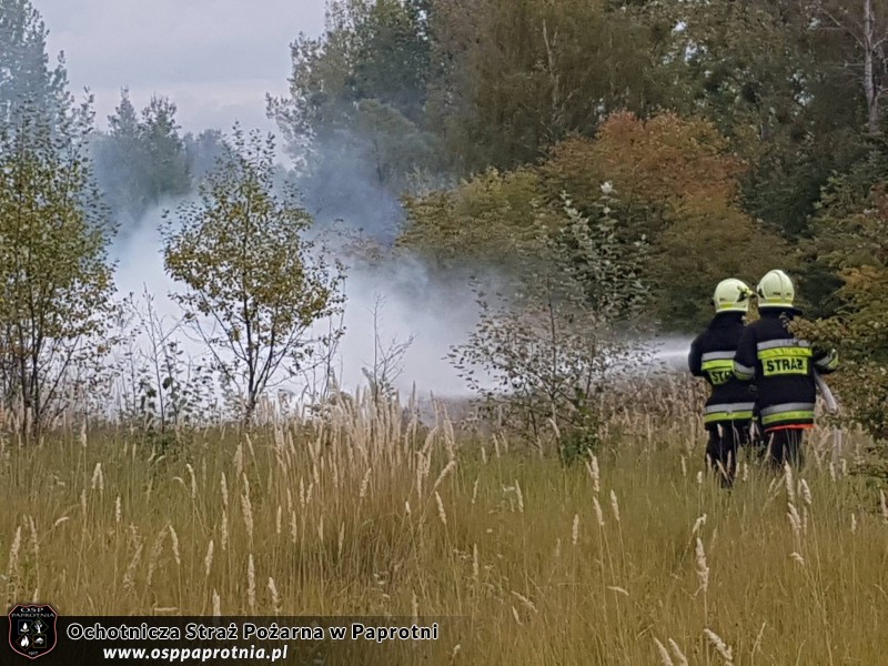 Ćwiczenia „Zalew 2016”na zbiorniku wodnym w Sochaczewie.