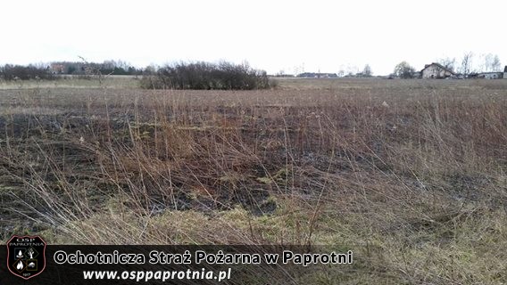 Pożar trawy Paski Nowe 