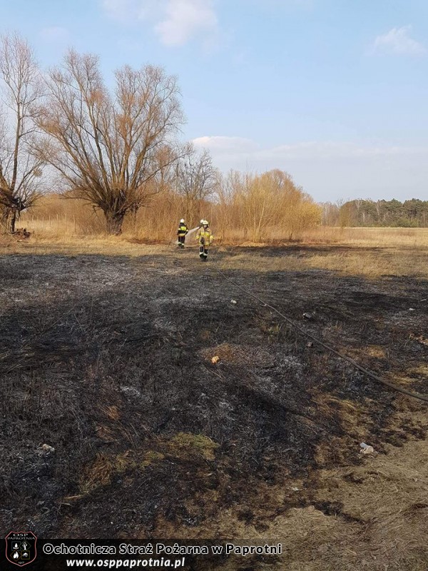 Pożar Trawy Pawłowice 