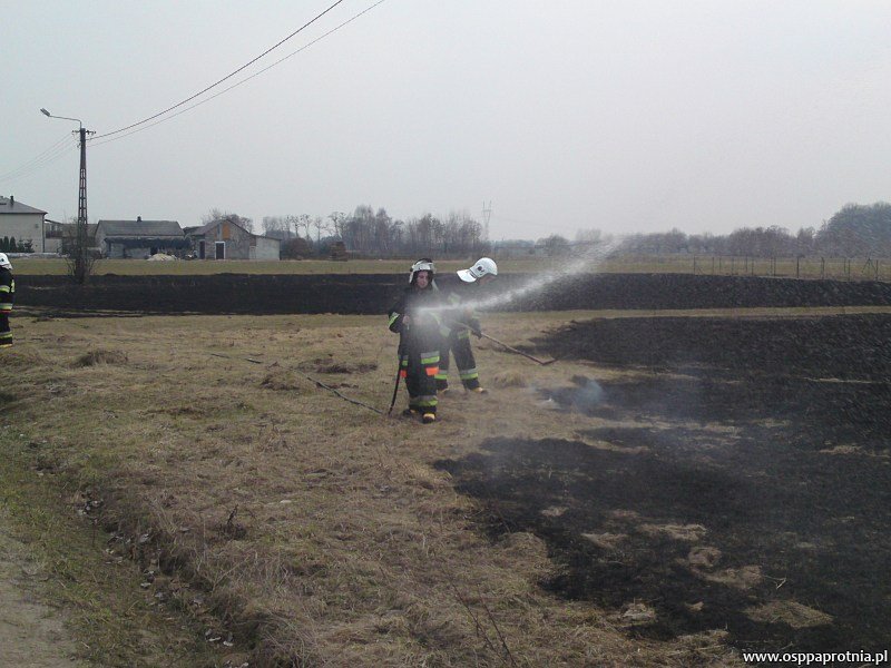 Pożar trawy w Paskach