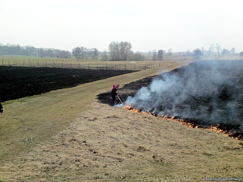 Pożar trawy w Paskach