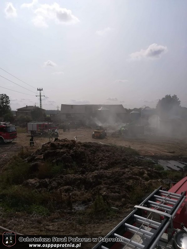 Pożar w Złotej, gm. Rybno