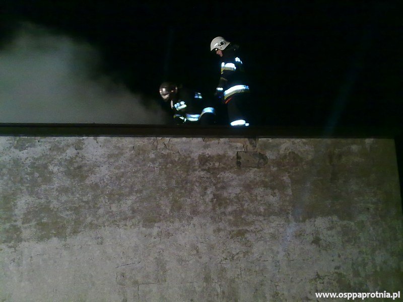 Pożar budynku gospodarczego w Ludwikowie