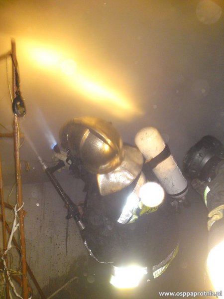 Pożar budynku gospodarczego w Ludwikowie