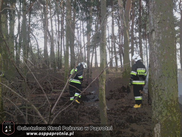 3 Pożary na terenie gminy