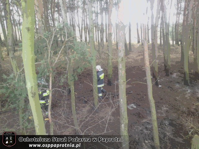 3 Pożary na terenie gminy