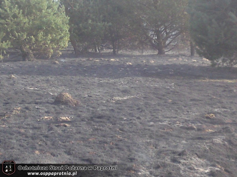 3 Pożary na terenie gminy