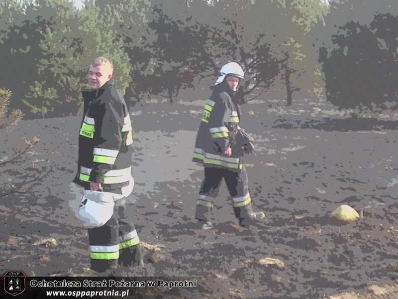 3 Pożary na terenie gminy