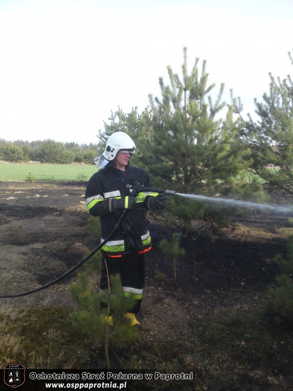 3 Pożary na terenie gminy