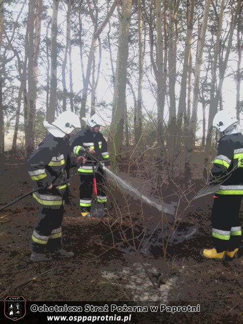 3 Pożary na terenie gminy