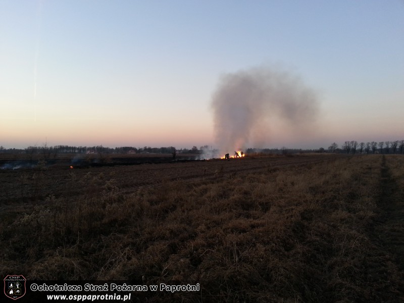 Pożar trawy na Masznie