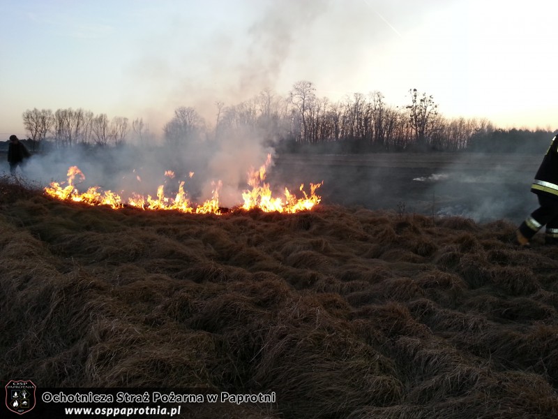 Pożar trawy na Masznie