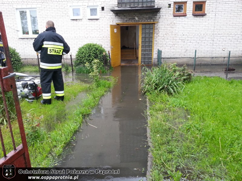 Podtopiony teren w Elżbietowie