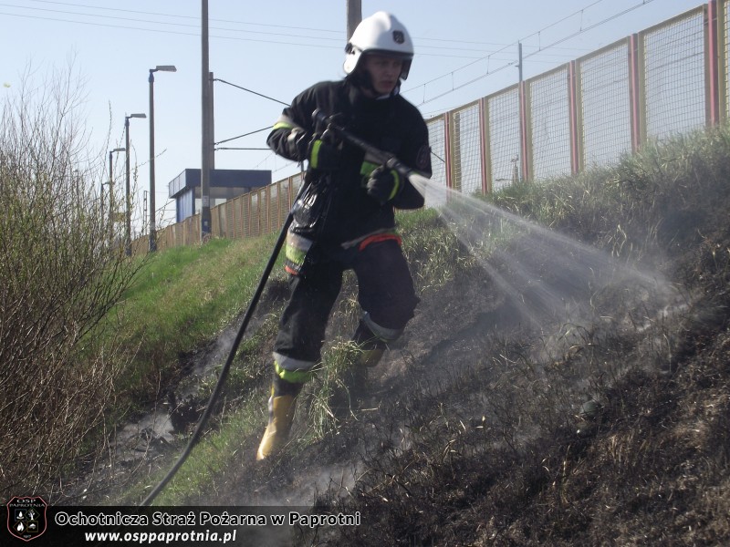 Pożar trawy przy stacji PKP Seroki