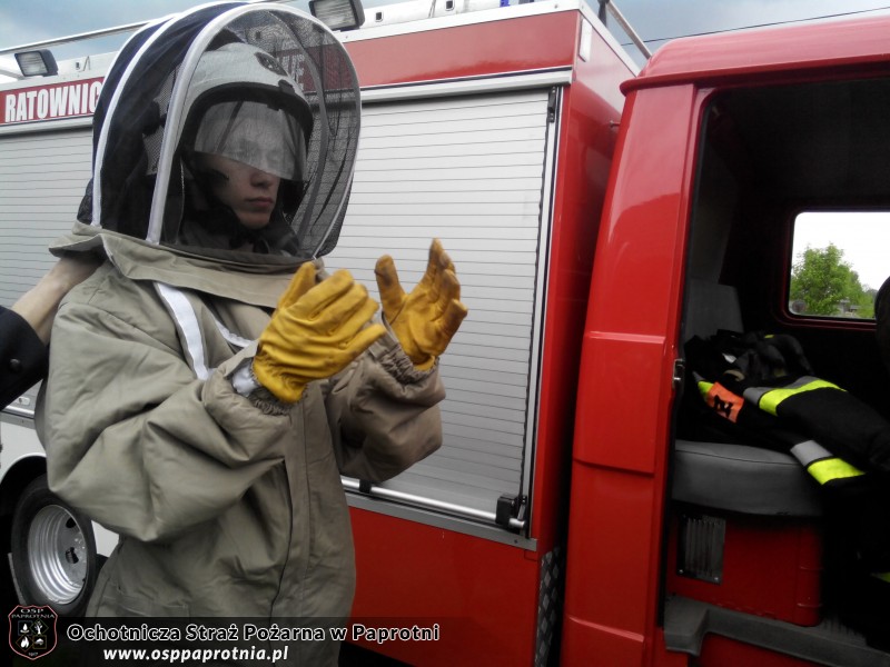 Pszczoły w Teresinie