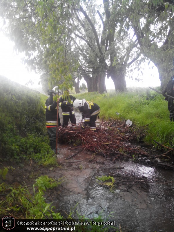 Udrożnianie rzeki w miejscowosci Serokii