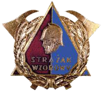 strażak wzorowy